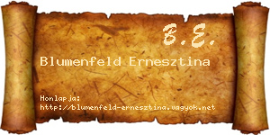 Blumenfeld Ernesztina névjegykártya